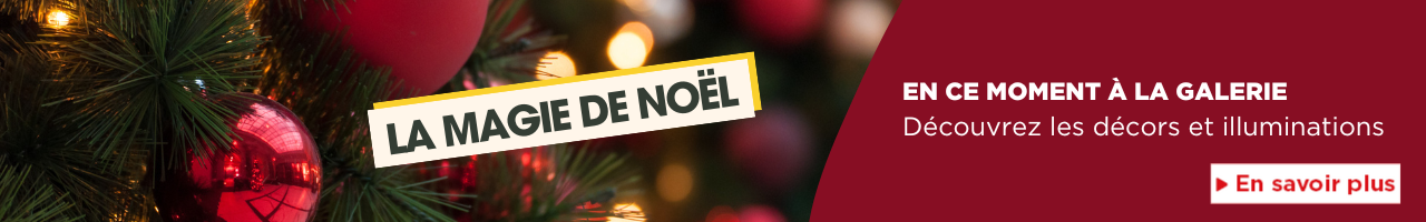 carrousel-decoration-noel-6737648d95e34.png