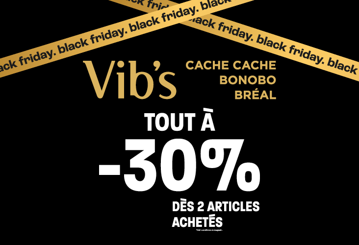 732x500-black-friday-centre-co-ah24.png