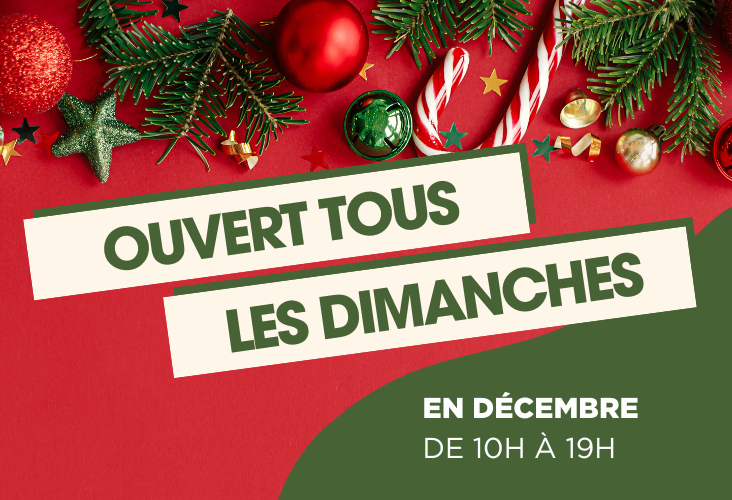 actuweb-oe-tous-les-dimanches-en-decembre-mlv.png