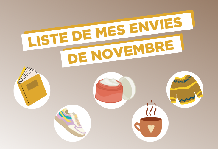 liste-de-mes-envies-novembre-672b31430ddb0.png