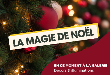 carrousel-decoration-noel-67378658717bf.png