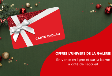 carrousel-carte-cadeau-angers.png